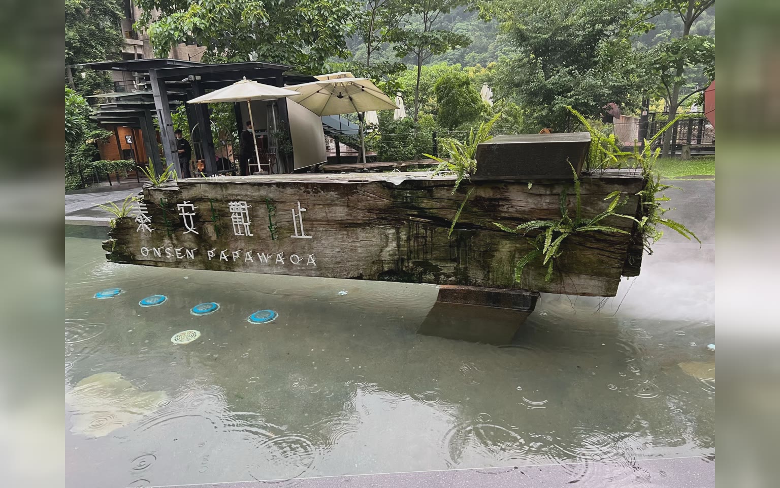 春 夏 秋 冬 既熟悉又陌生的情境變化 