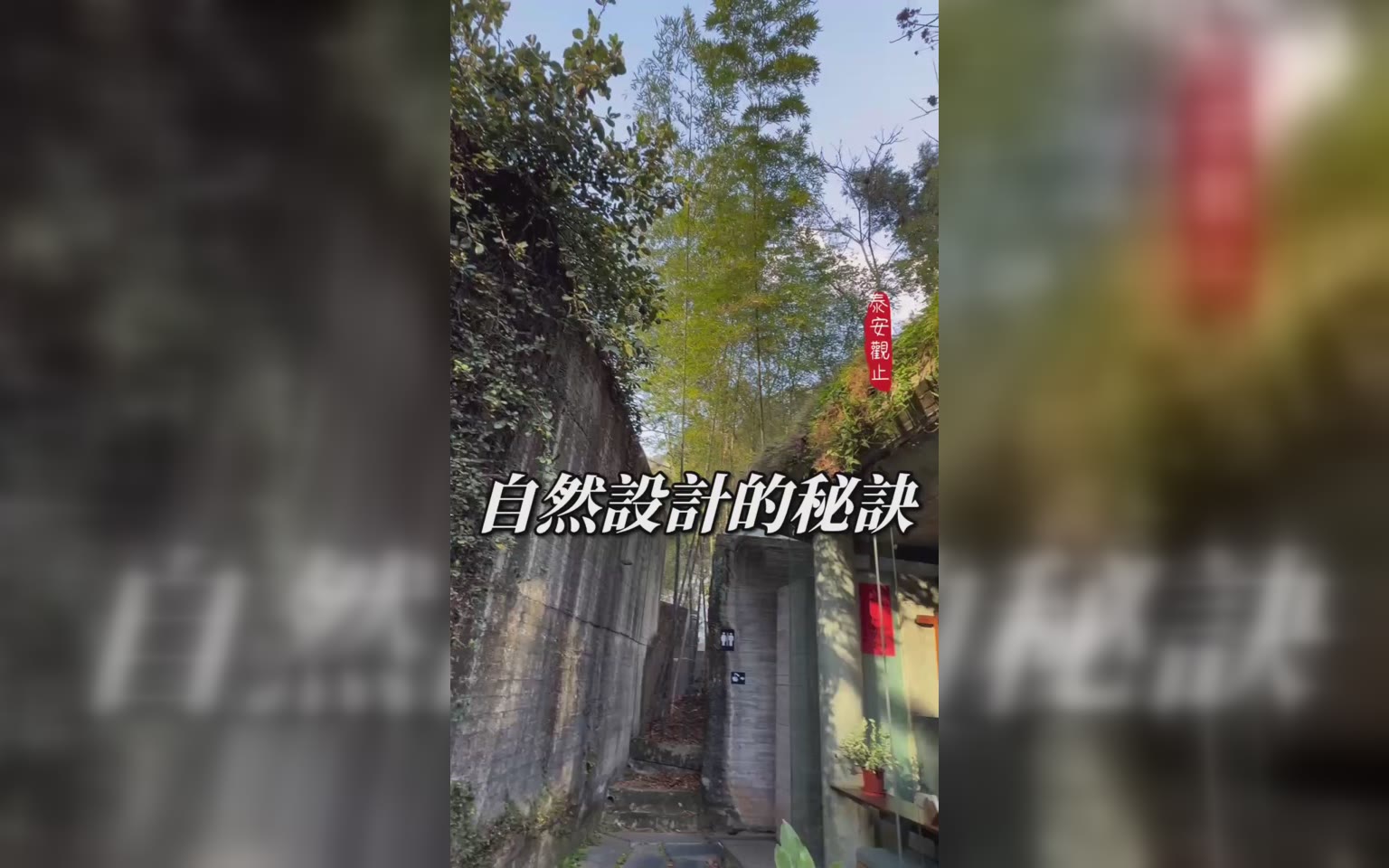 遺跡感的自然美