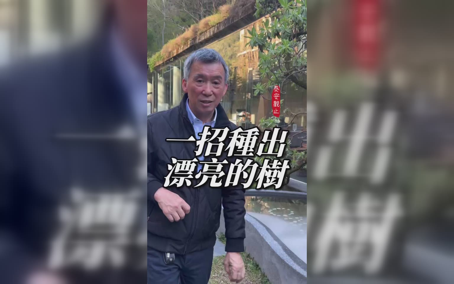 種樹 引用光、影藝術