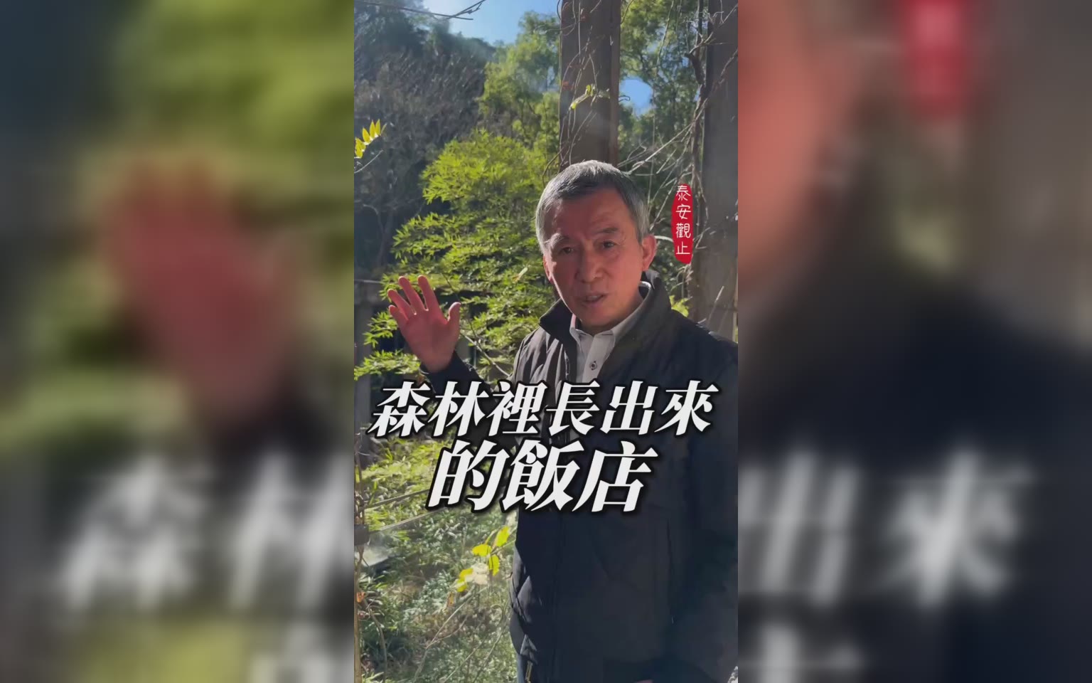 森林裡的時尚飯店 容留瑕疵的遺跡感