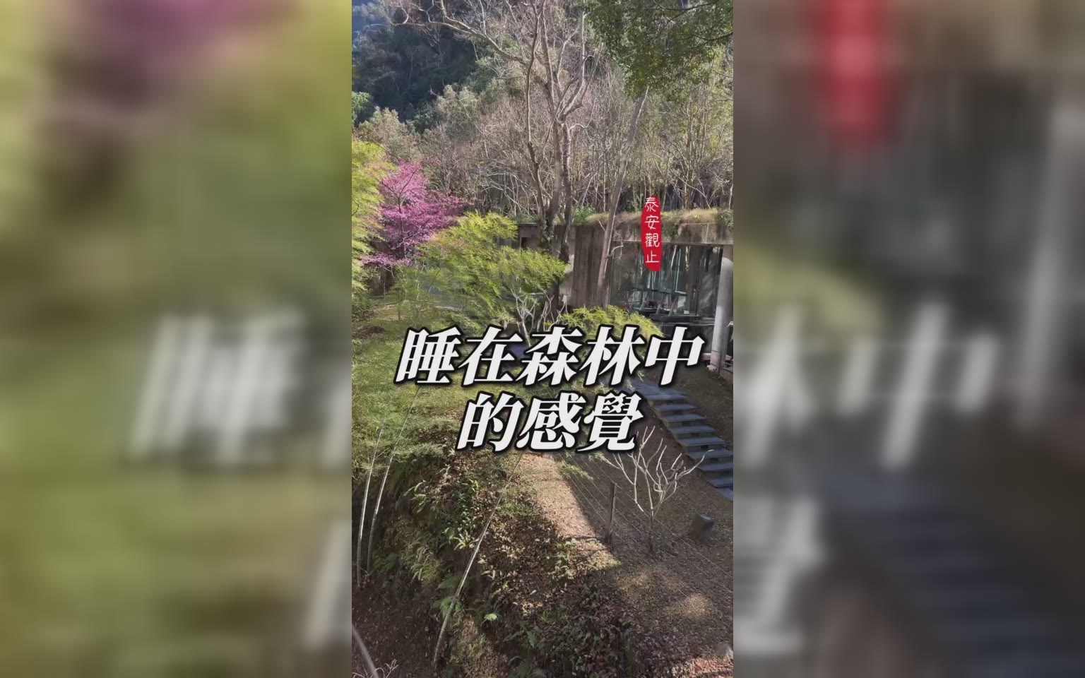 逃離都會融和自然新體驗