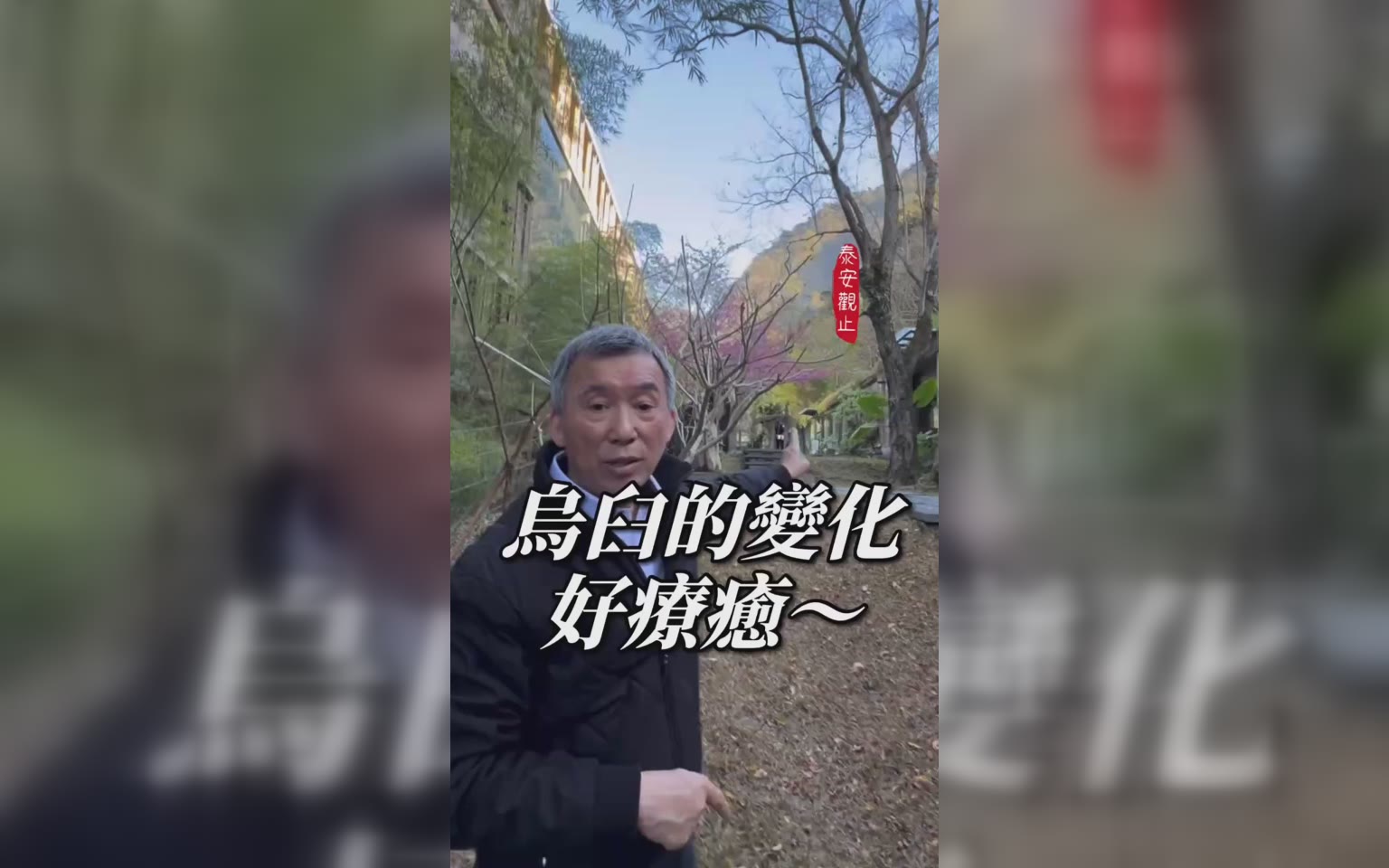 台灣原生樹種烏臼 景色多變優美