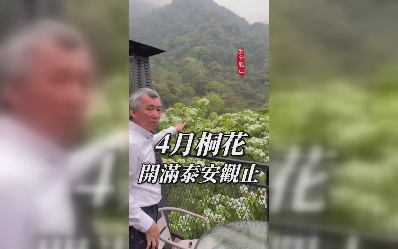 桐花林裡的飯店+BBQ 氣氛破錶