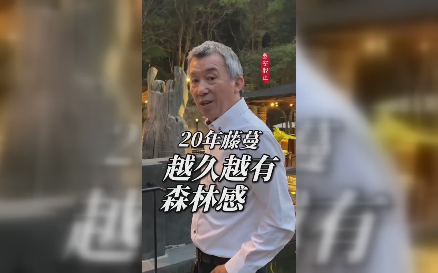 森林裡的飯店 體驗 歲月靜好