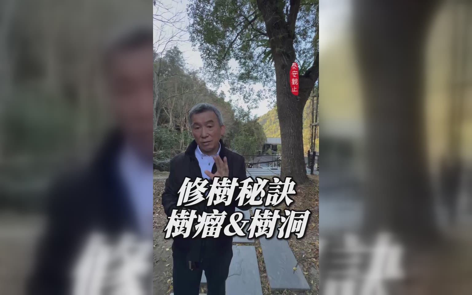度假兼顧健康:養生茶飲、在地食材與慢活