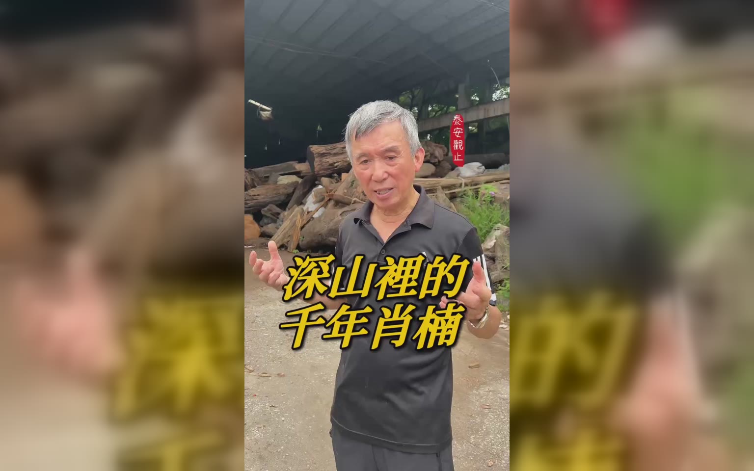 體驗吸納日月精華千百年 梢楠木飯店