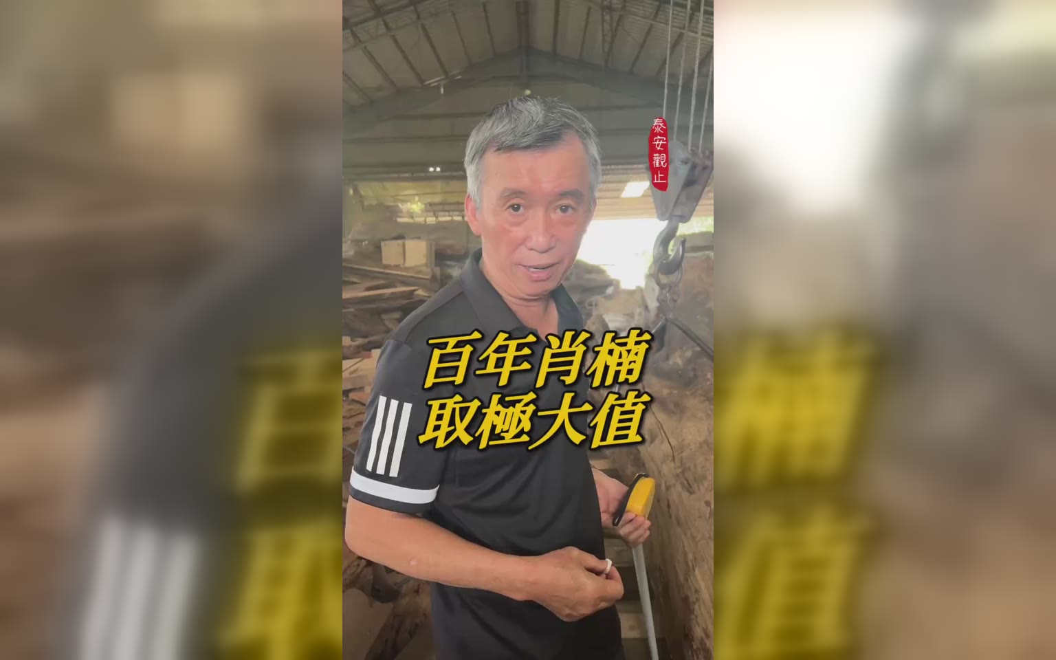 裁鋸梢楠木-取材極大值