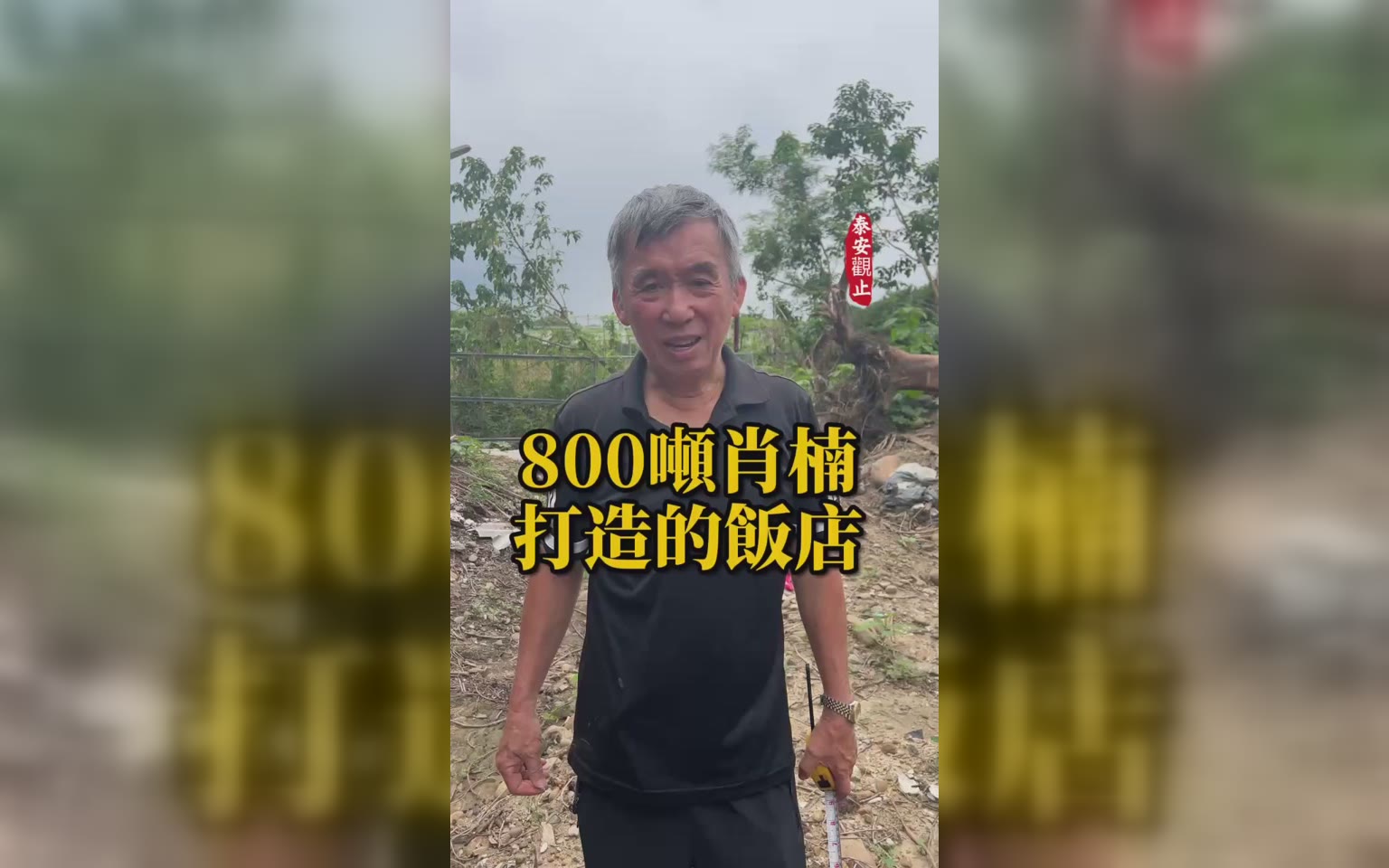 梢楠木為什麼只會風化、不會腐化：江董的選木筆記