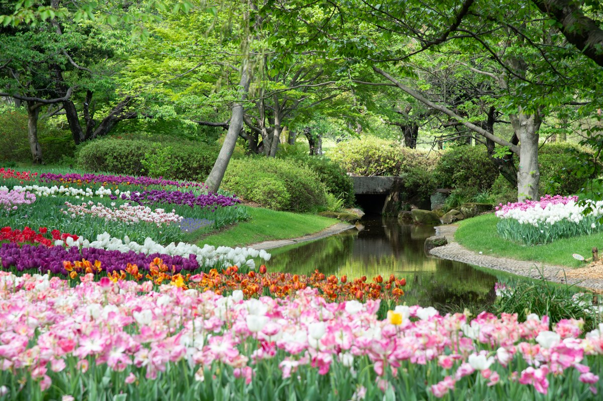 田尾公路花園植物觀察課——一朵花裡的自然教室